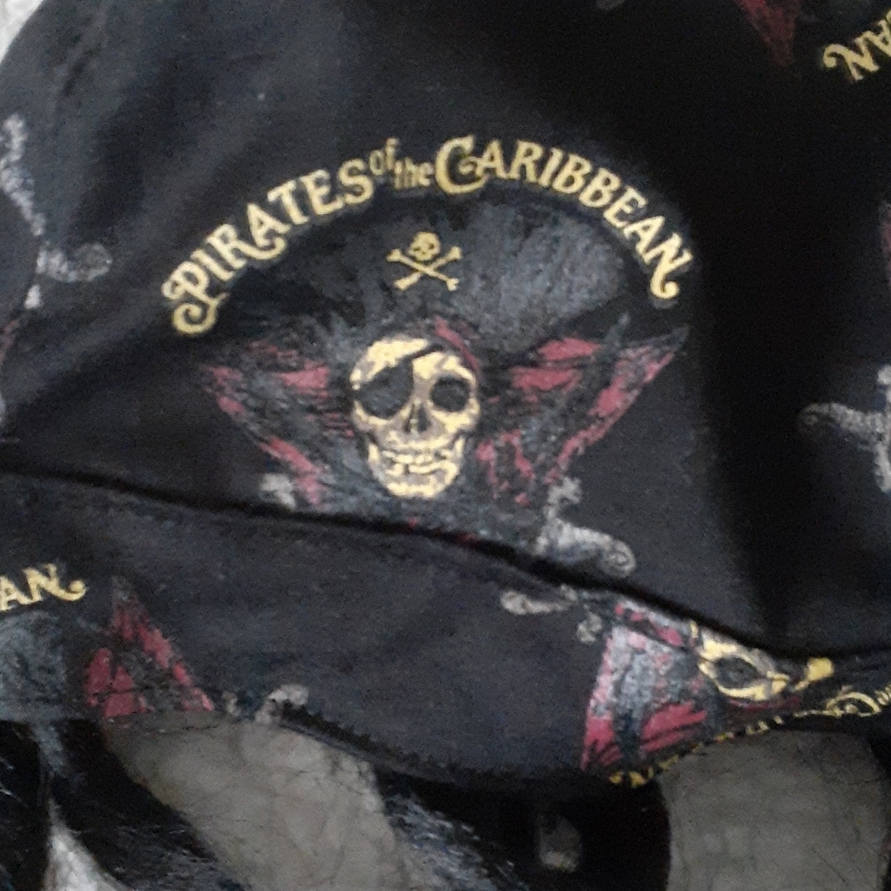 Disney Pirate Cap